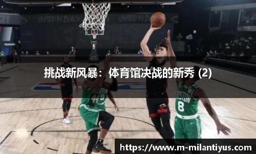 挑战新风暴：体育馆决战的新秀 (2)